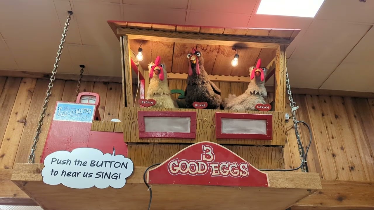3 Good Eggs at Stew Leonard's