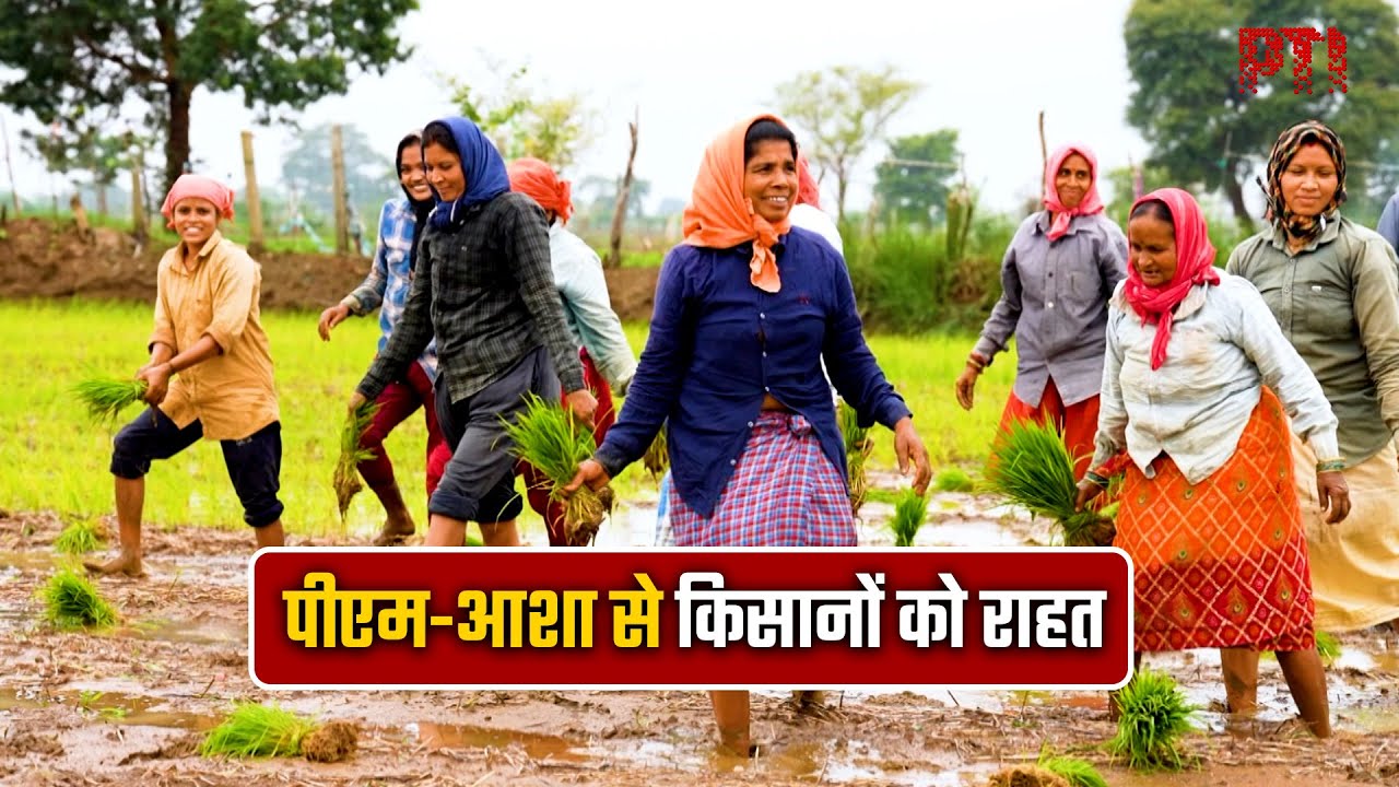 पीएम-आशा से किसानों को राहत: छत्तीसगढ़ में एमएसपी पर खरीदी को मंज़ूरी