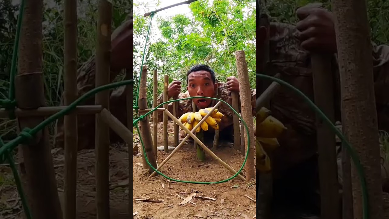 Traps to monkeys #alanhoutdoors #trap #bushcraft