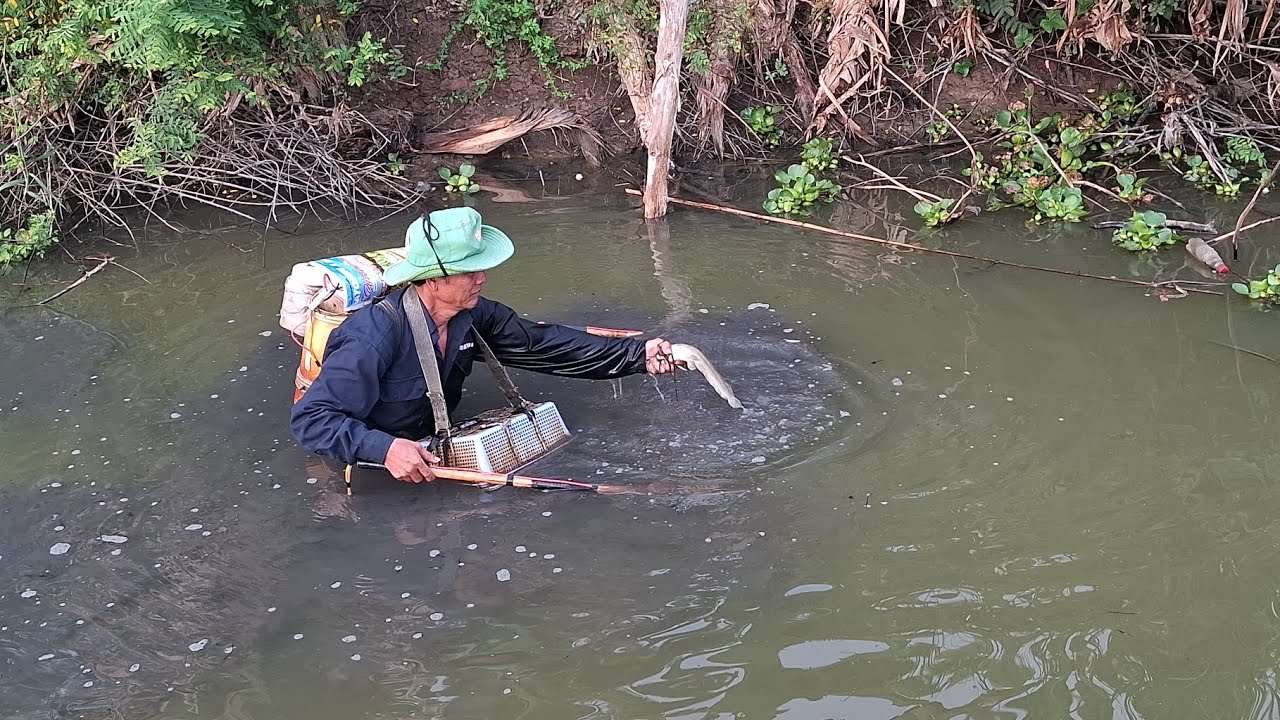 Nay chú sáu đi tét cây 14f cho anh ở Đồng Nai nha, trích cá lóc với ếch quá trời luôn anh em 