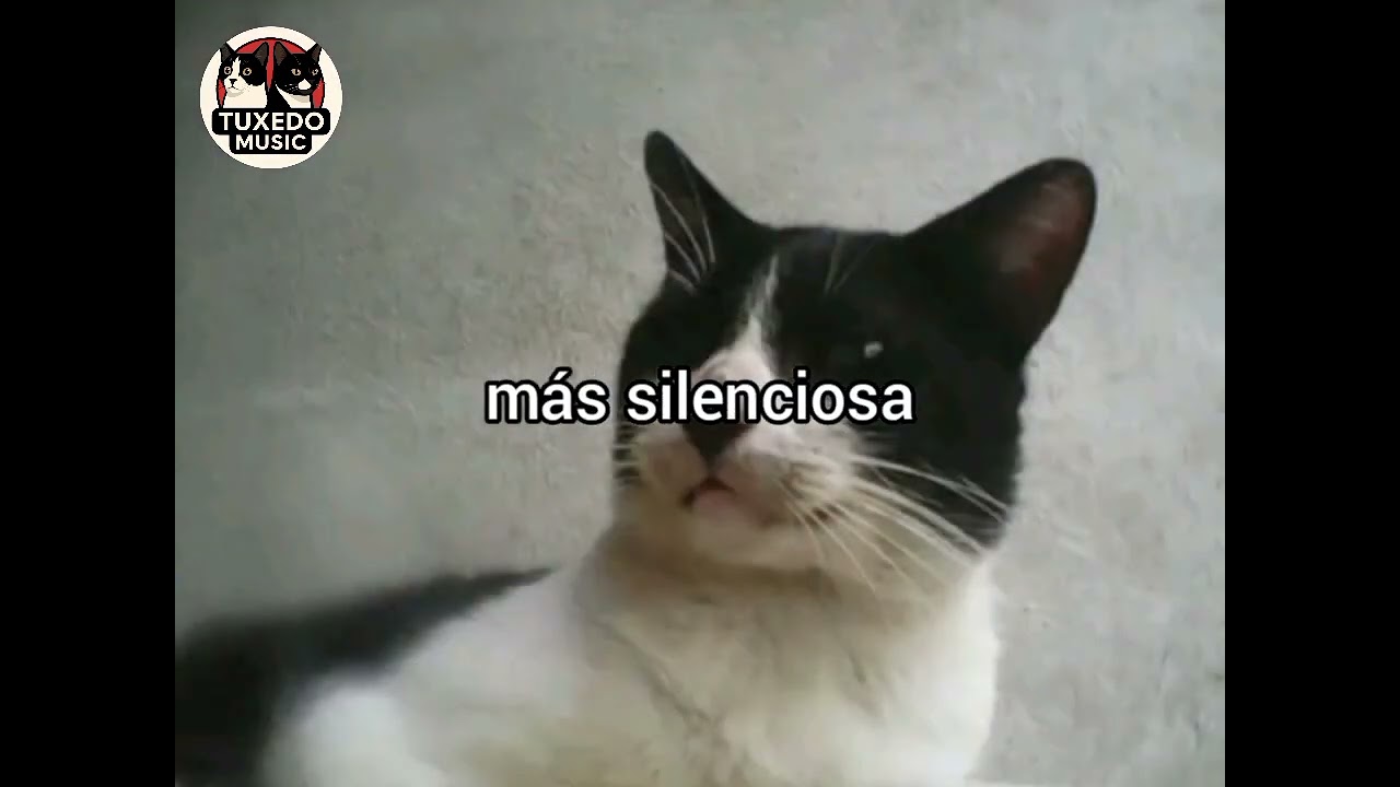 No te puedo Olvidar 