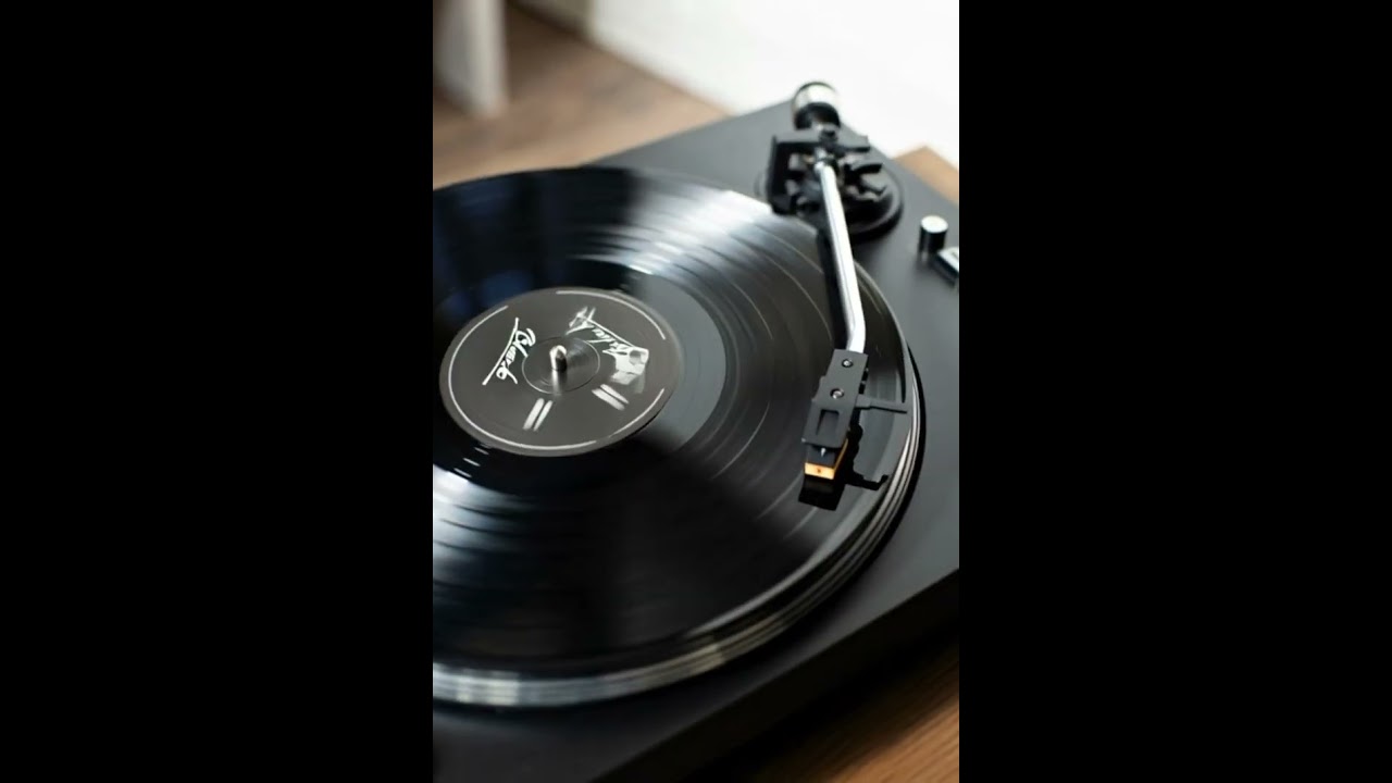Black Matter Project - : BLACK (Pearl Jam Tribute)