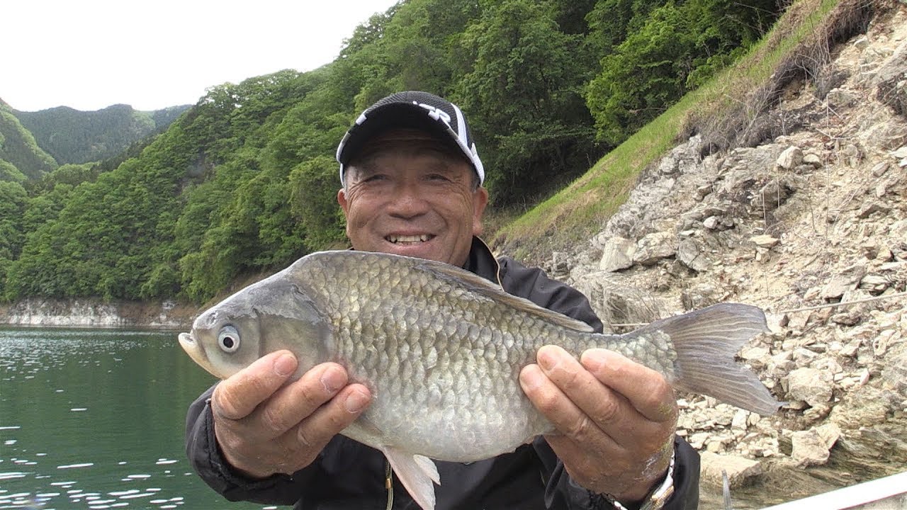 #287 へら鮒釣りの名手が魅せる至高の境地～神流湖　揺らめくウキに注ぐ情熱～