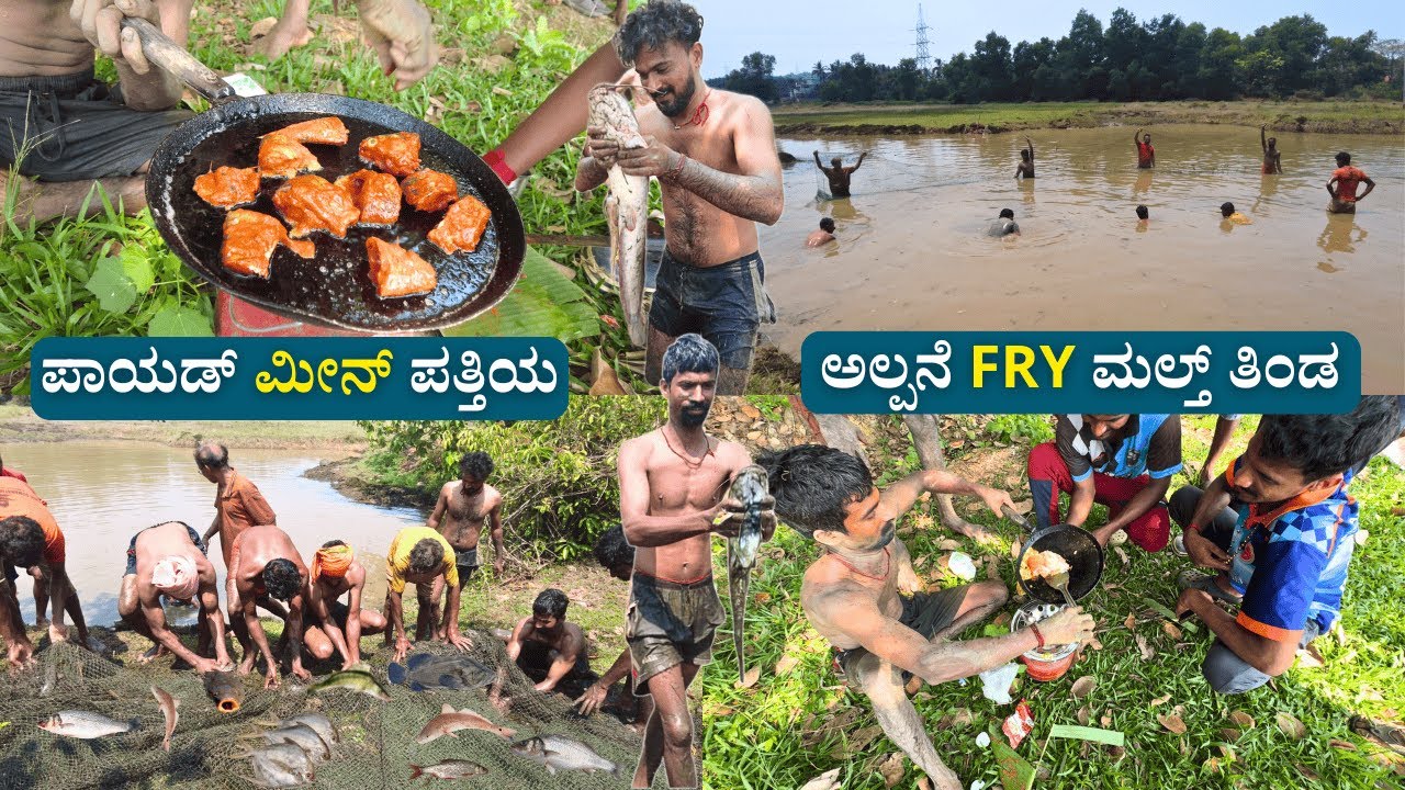 ಕೆರೆಯಲ್ಲಿ ಮೀನು ಹಿಡಿದ್ವಿ | ಕೆಸರ್ಡ್ ಮಲ್ಲ ಮೀನ್ ಪತ್ತಿಯ ಬೊಕ ಫ್ರೈ ಮಲ್ತ್ ತಿನ್ಯ