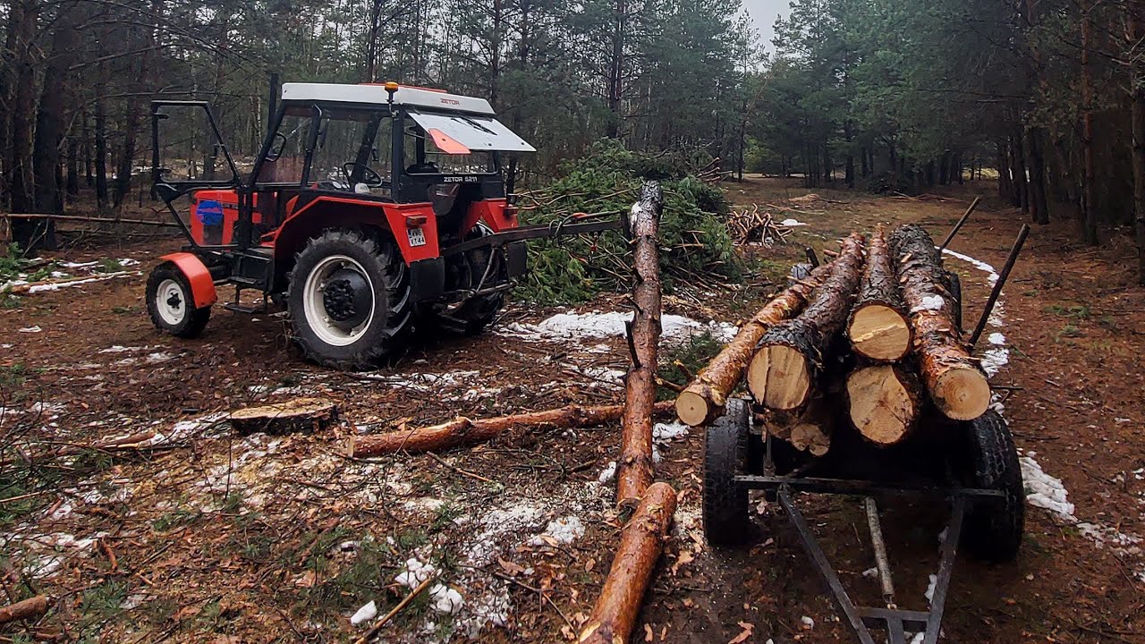 Wypad do lasu! 🌳 Zetor 5211 - akcja sosna! 🌳