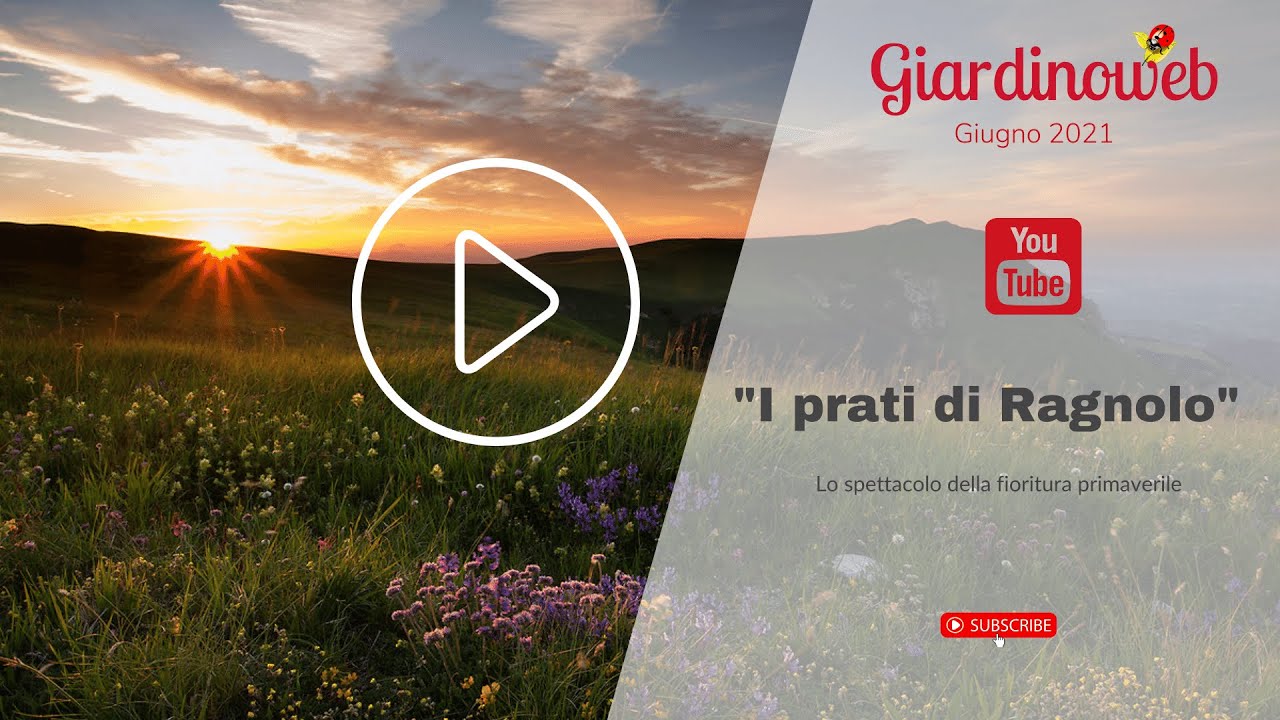 I piani di Ragnolo