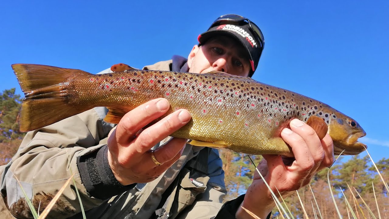 WIELKIE PSTRĄGI Z BAGIEN | Wiosna i wobler Drift | wędkarstwo spinning twitching woblerem