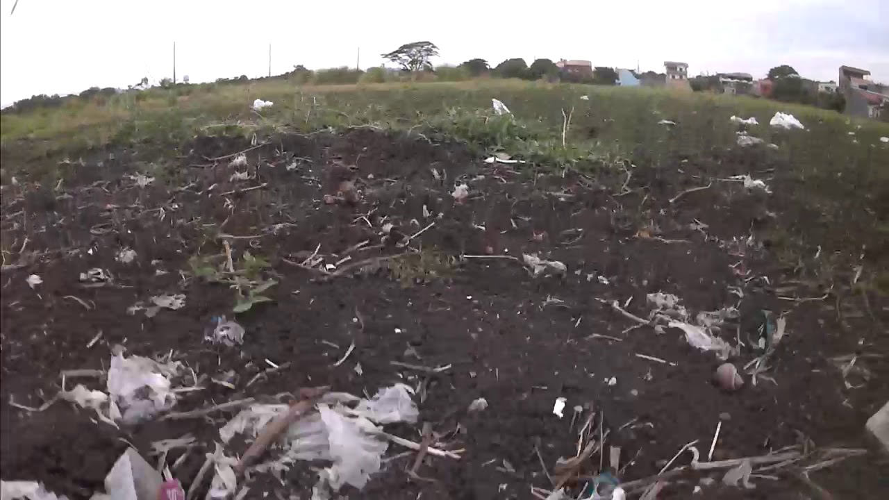 Mjx bugs b2se flight test