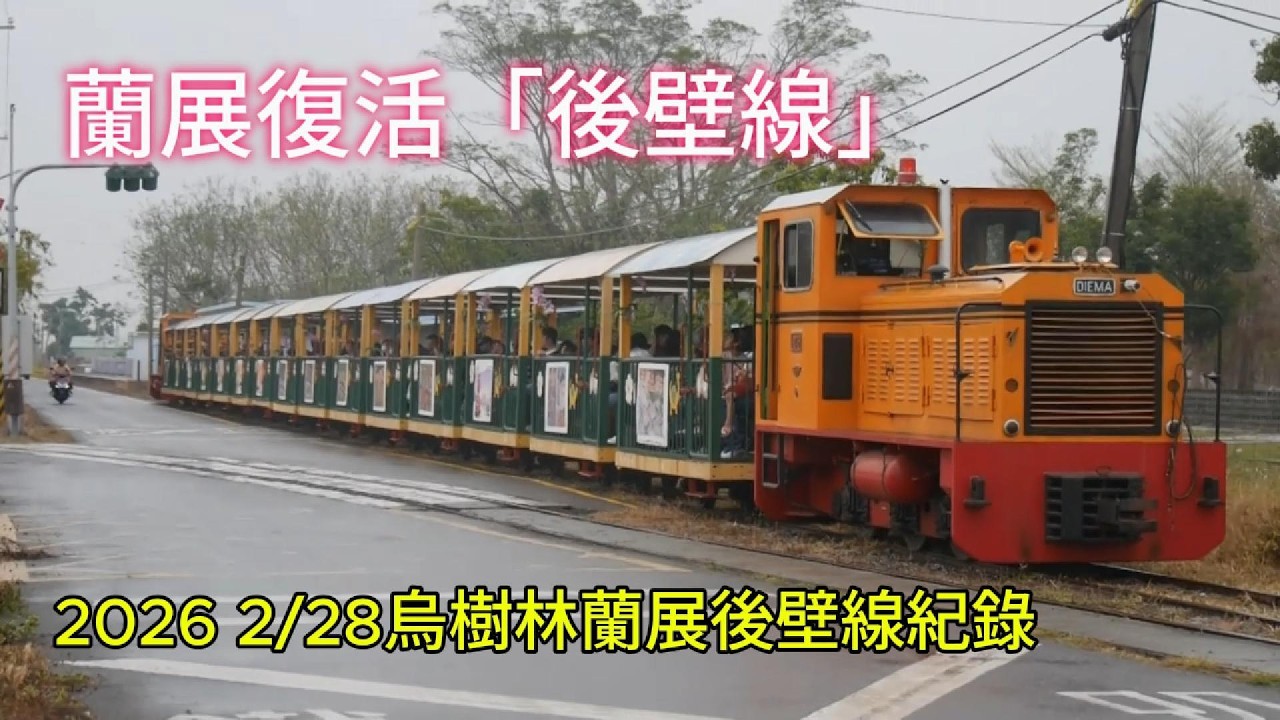 ｜蘭展復活「後壁線」｜2026 2/28烏樹林蘭展後壁線紀錄