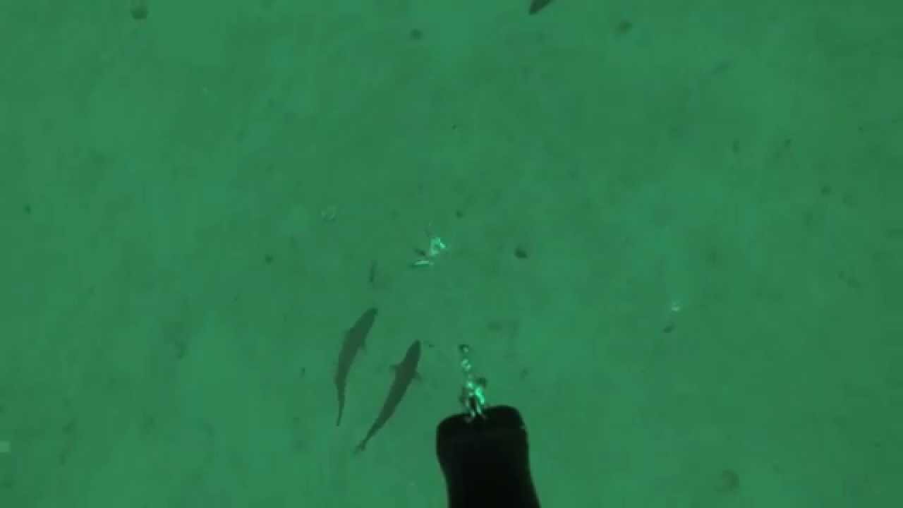 Fishing Brattvaag 2