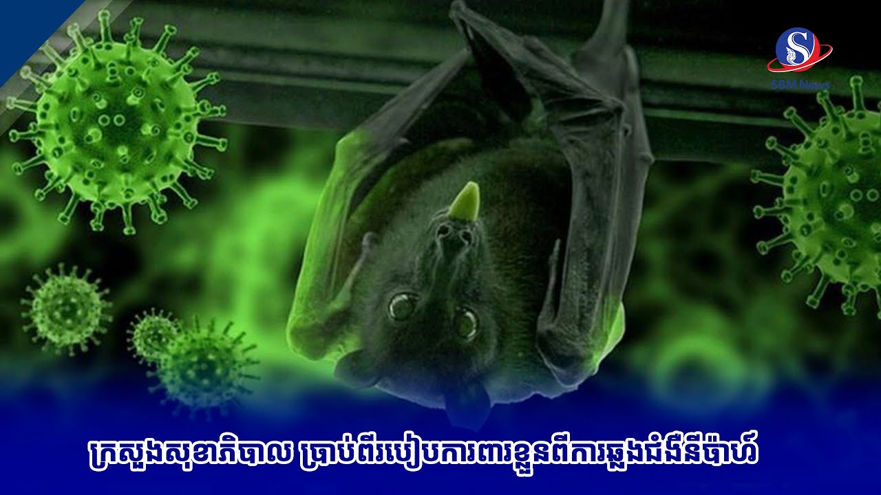 ក្រសួងសុខាភិបាល ប្រាប់ពីរបៀបការពារខ្លួនពីការឆ្លងជំងឺនីប៉ាហ៍