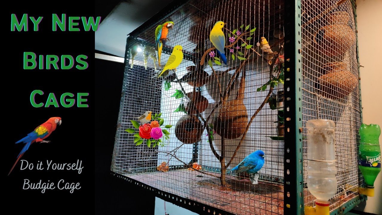 How To Make Birds Cage at home | Bird Cage Making Ideas  | Love Birds Cage | Home Aviary