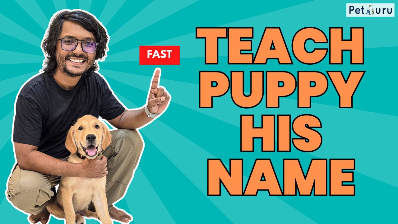 The FIRST Thing You Must Teach Your New Puppy