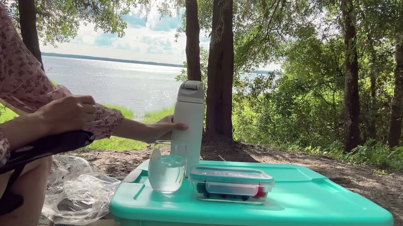 A day seeking the deepest solitude in Ocala national forest #Lake Dorr dispersed camping area