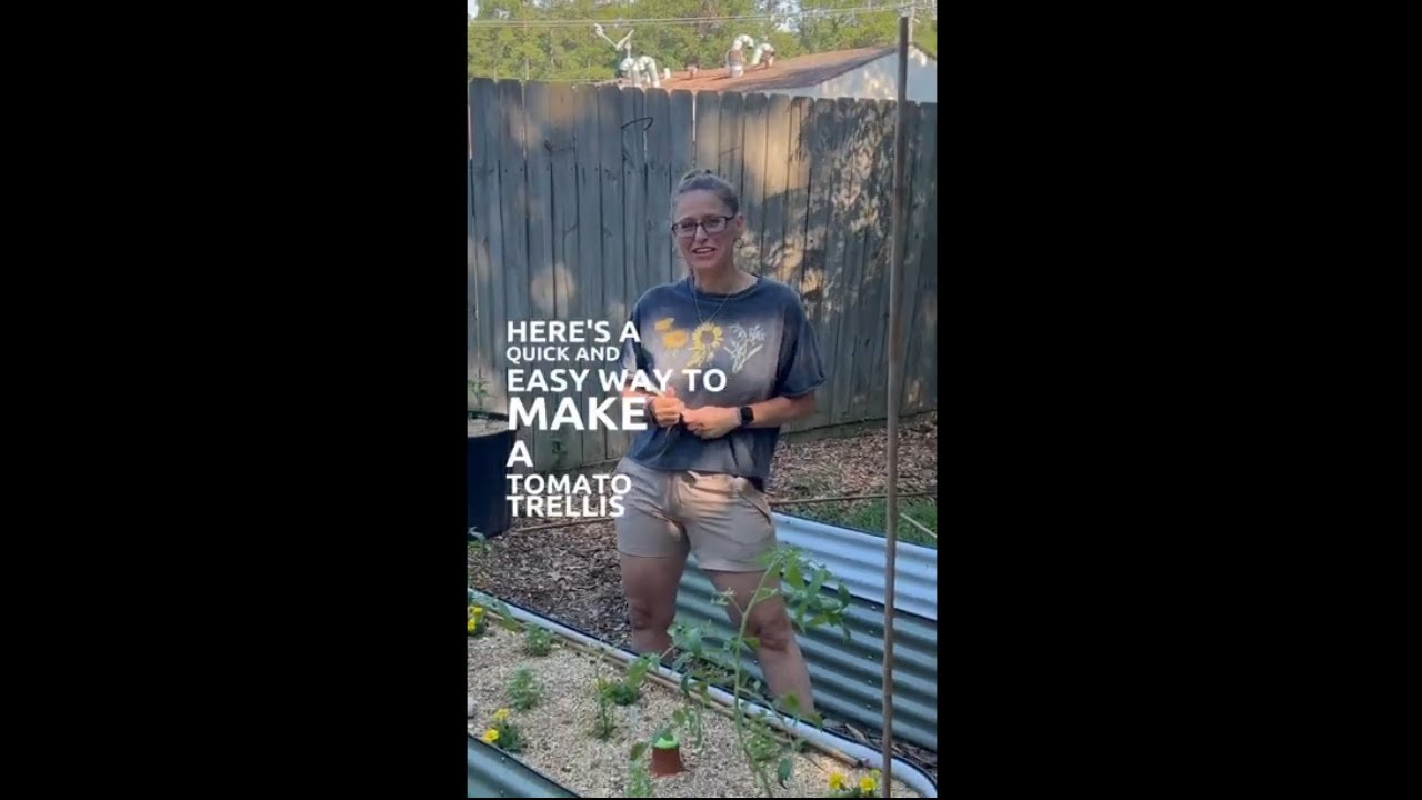 How To Make A Bamboo Trellis For Tomatoes (or Any Climbing Veggies)