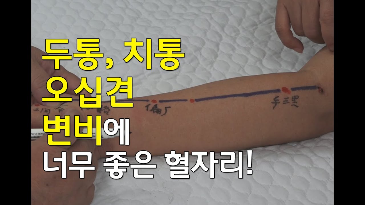 [김효열 교수의 재미있는 혈자리 공부] 두통, 치통, 오십견, 변비 등에 좋은 혈자리(수양명대장경)