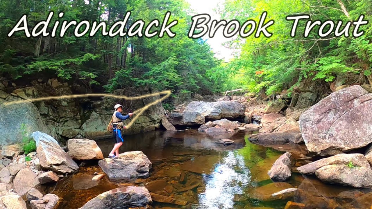 NO CELL SERVICE | Adirondack Backwoods Brook Trout Fishing