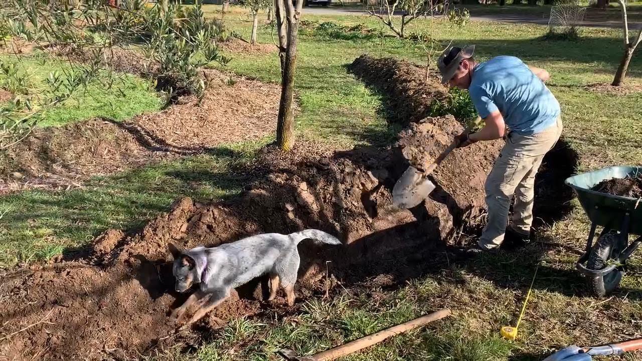 Renovating Swales and Berms on our 5-Acre Hobby Farm