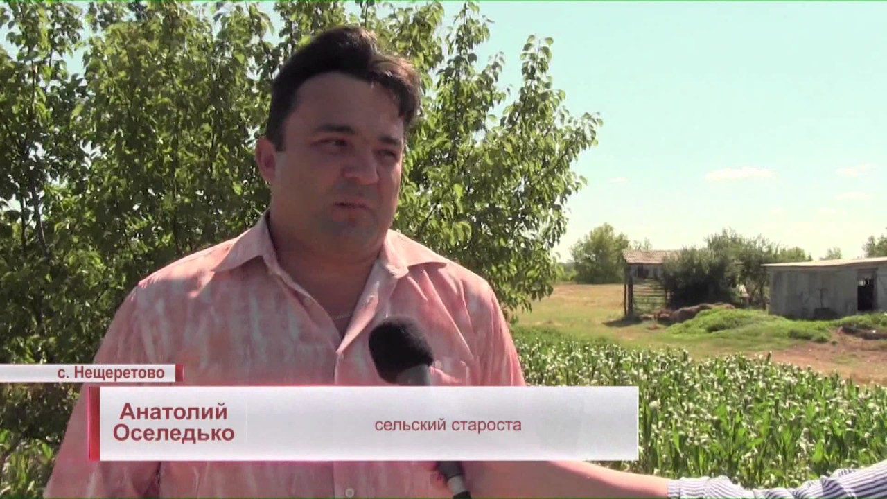 В Белокуракинском районе капитально отремонтируют три пешеходных моста