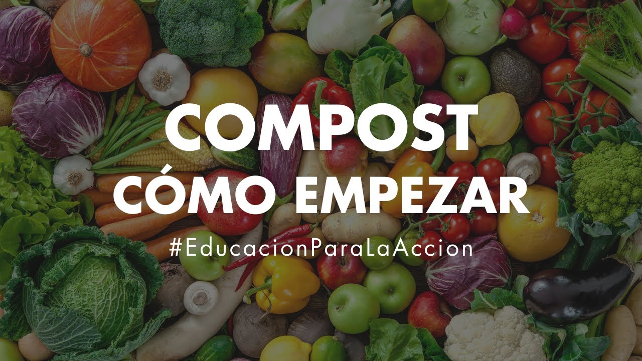 Cómo hacer compost y qué saber para empezar | Educación Ambiental Digital