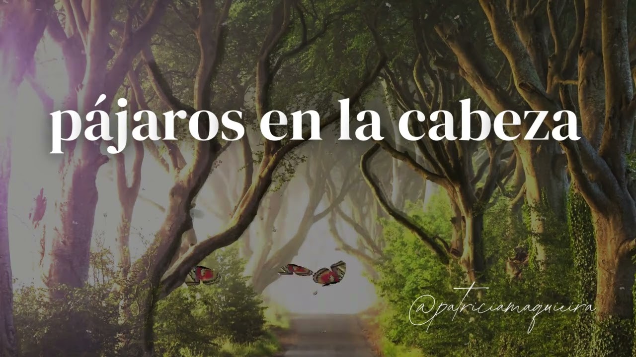 🐦 PÁJAROS EN LA CABEZA 🌪️Que mis ideas vuelen alto, aunque el mundo no entienda su vuelo.  ☁️🪁