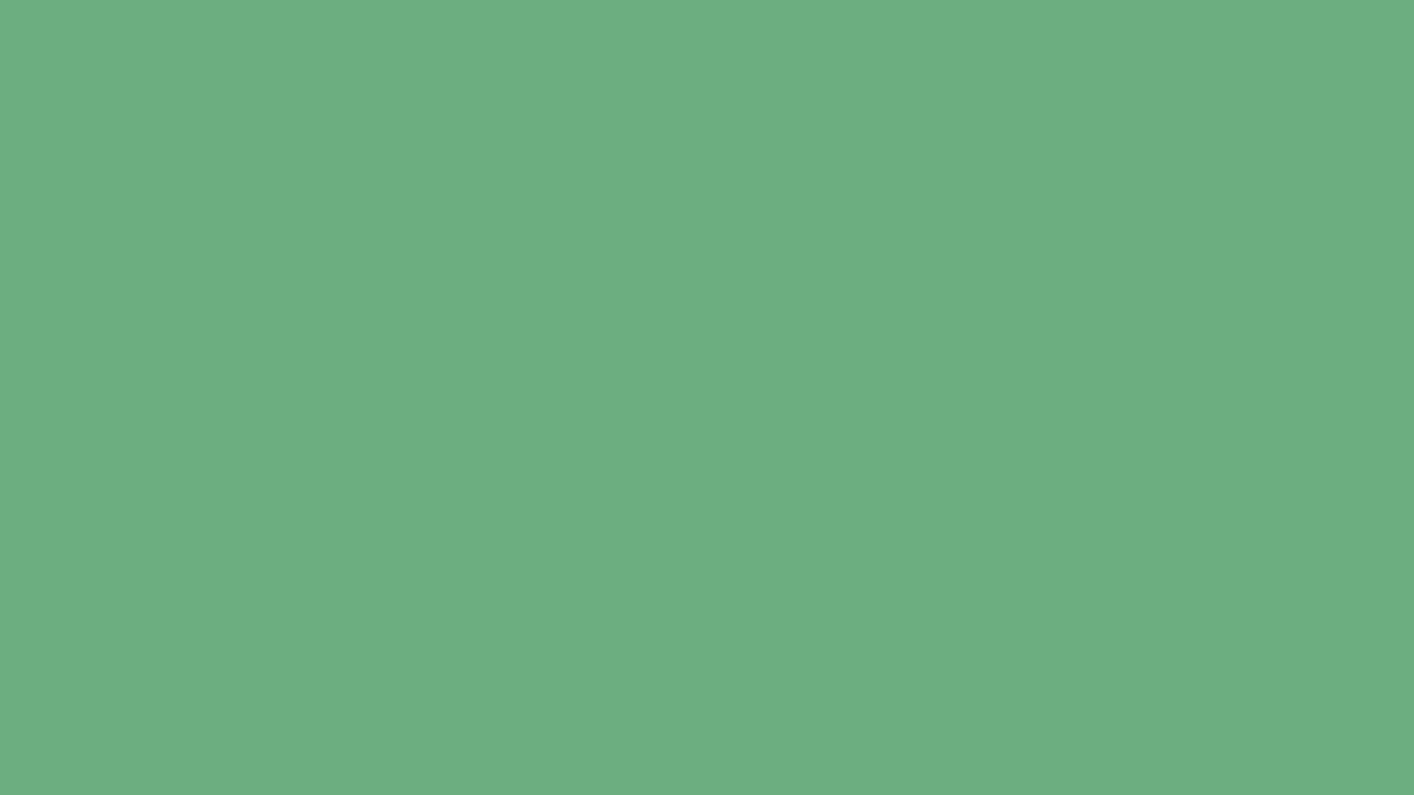 Morning Forest   Ambient Color Screen 10 Hours