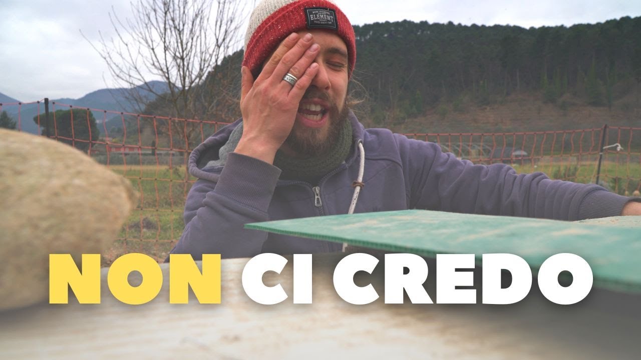 ORTO SECONDO LE FASI LUNARI, HA SENSO? ho fatto delle prove