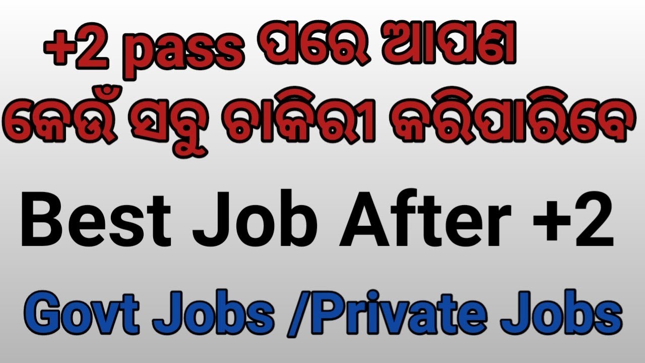 Best Job after +2 Pass |Government Job and Private Job | After +2 Pass |