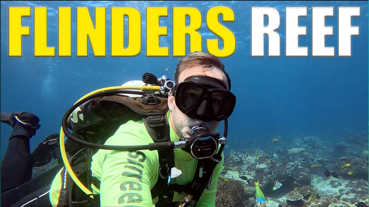 Scuba Diving FLINDERS REEF - South East Queensland's Most POPULAR Reef 🇦🇺