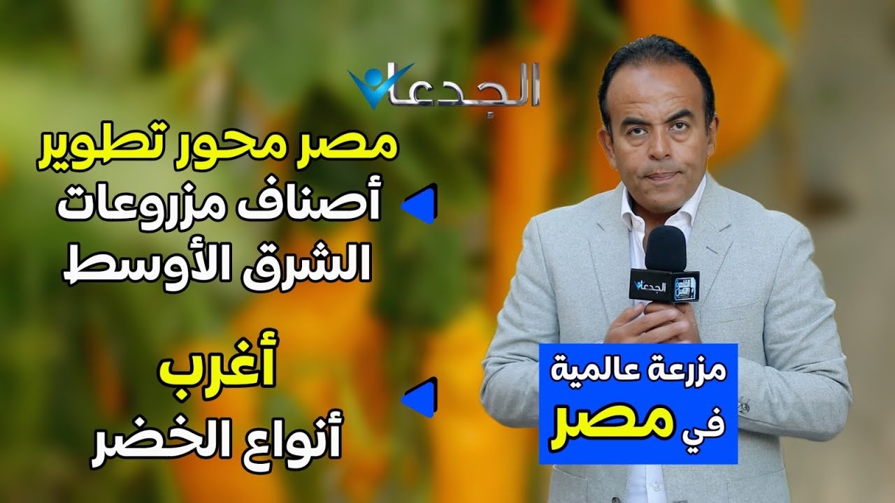 أغرب خس وبطيخ وخيار وكانتلوب وطماطم وفلفل..حلقة مذهلة عن شركة هولندية في مصر