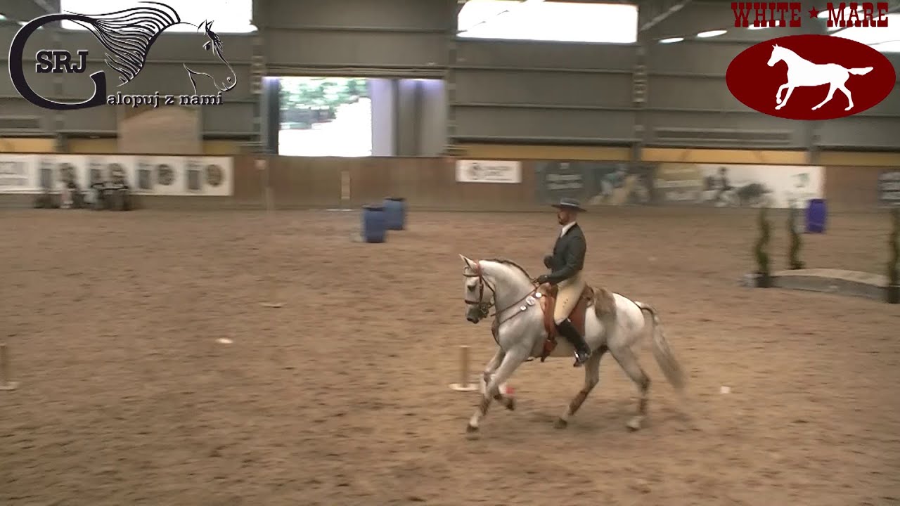 Master manaebility - Working Equitation - Partynice 2021