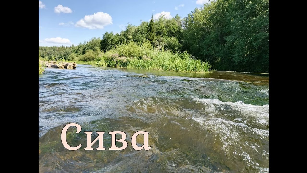 Сплав по реке Сива. Пермский край - Удмуртия. 2025