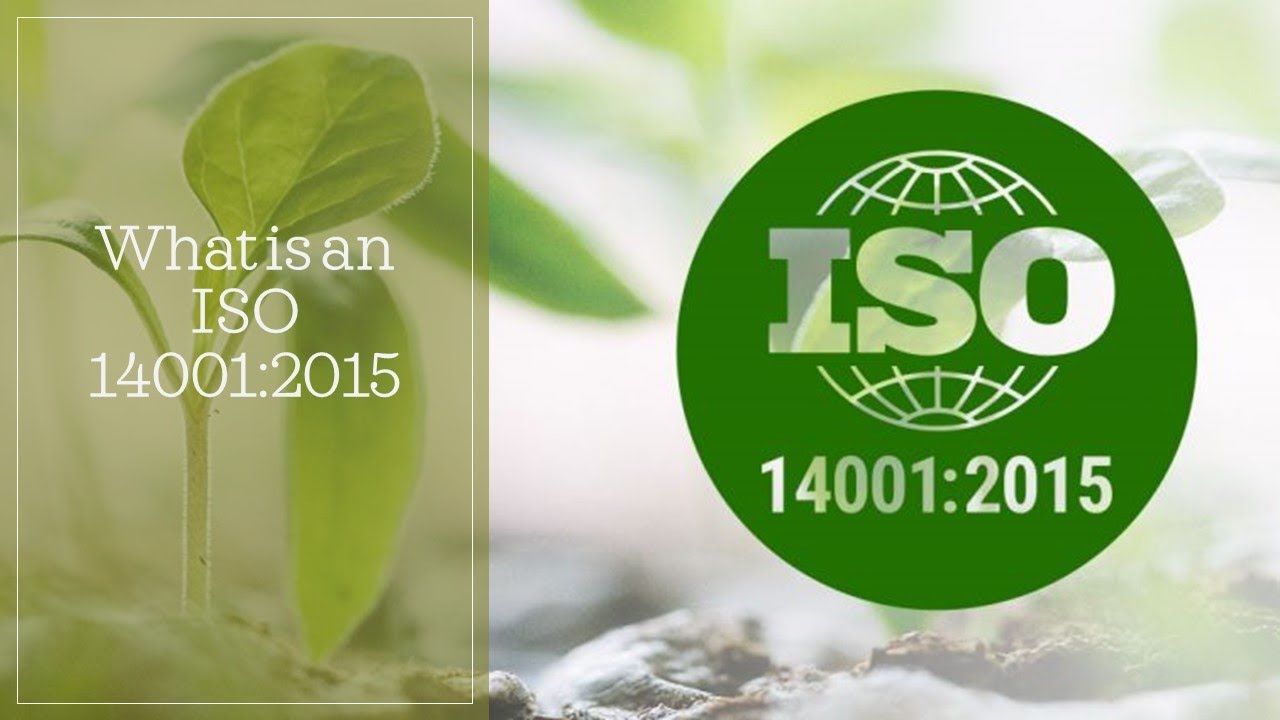 What is an EMS ISO 14001:2015 (Environmental Management System)