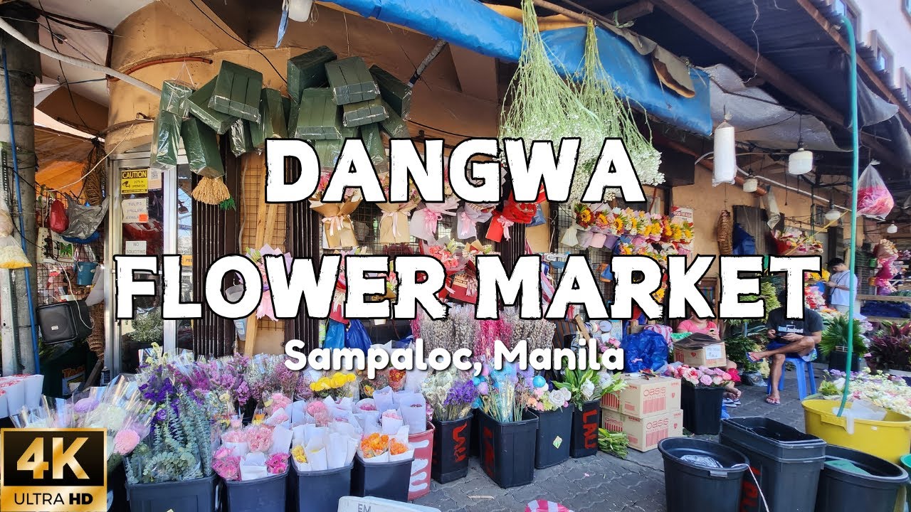 [4K] DANGWA FLOWER MARKET 2025: Valentine's Day is coming! Let's check the available flowers here!