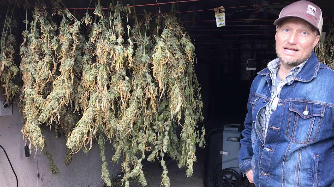 Alpenglow Farms - Regenerative Farming Tour