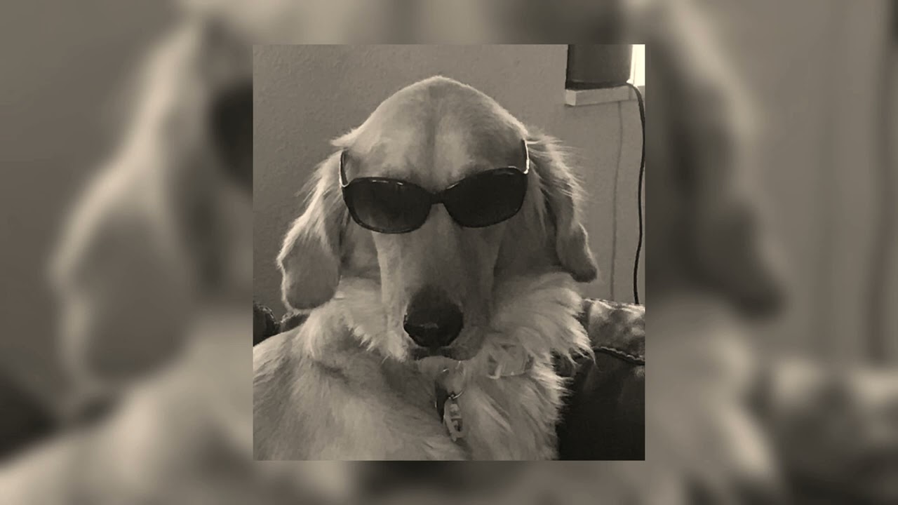 West Coast - The Neighbourhood (sped up)