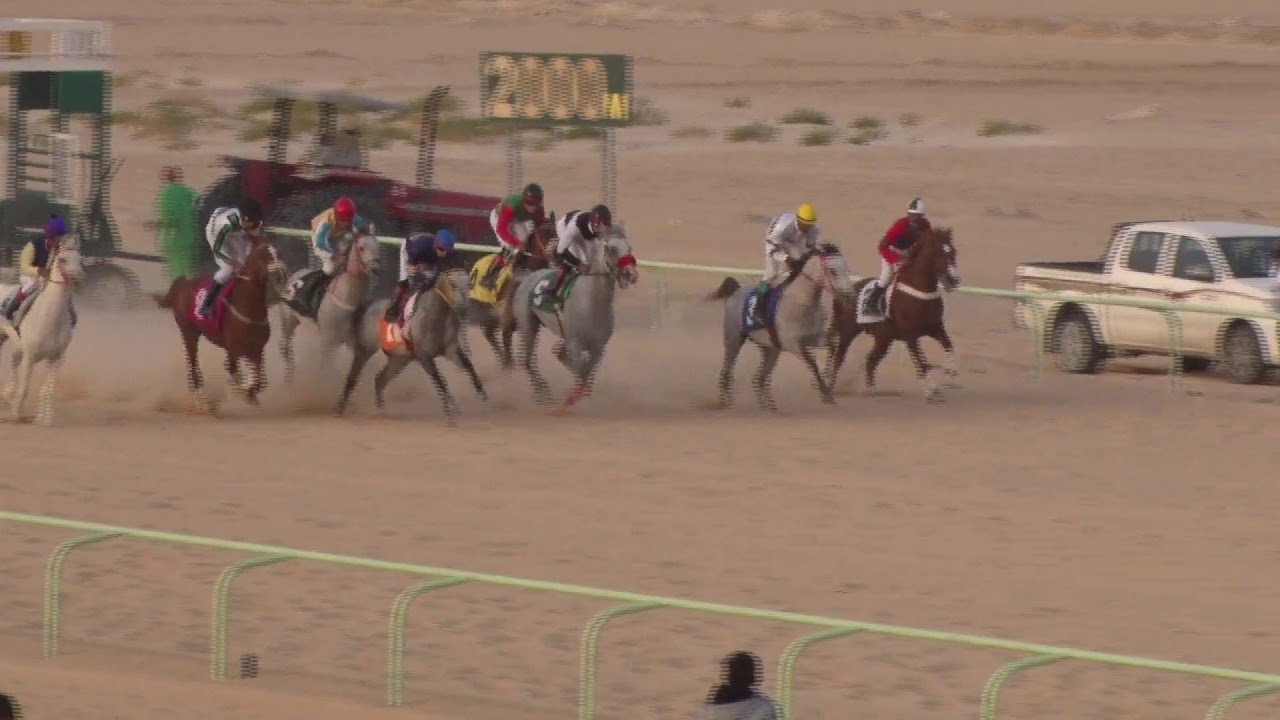 ميدان الفروسية بالاحساء لعام1440ه حفل (14)شوط عربيات المركز الأول (ربدان القصيعه)