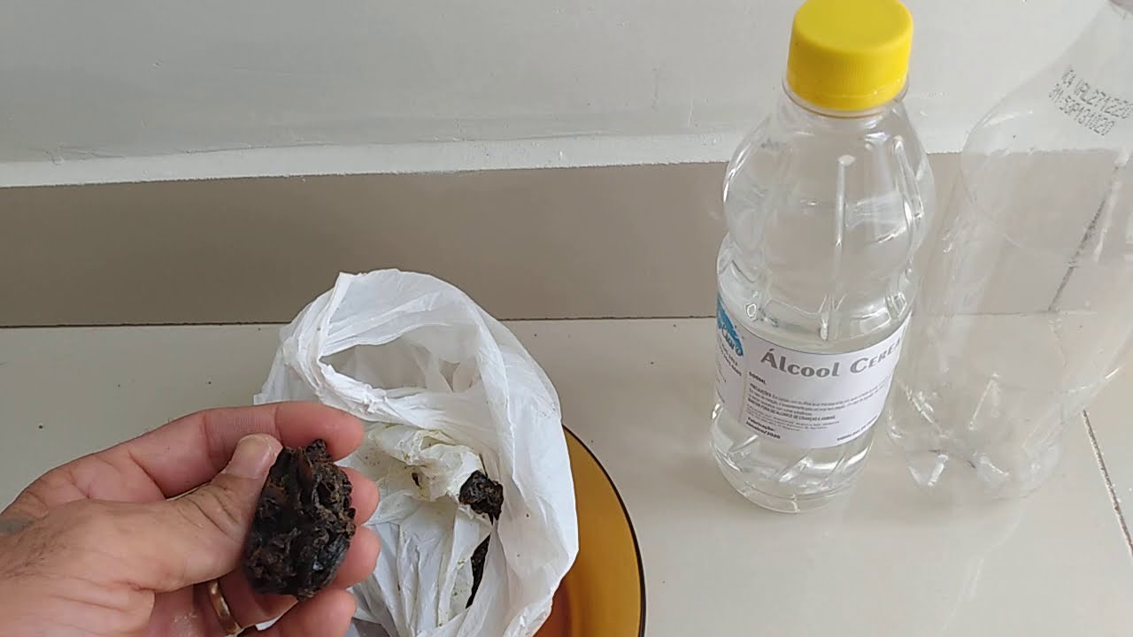 como preparar seu próprio extrato de própolis de Jataí ( parte 1)