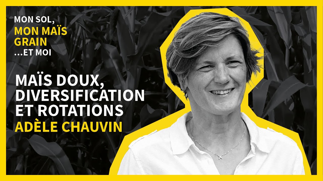 MA&Iuml;S DOUX, DIVERSIFICATION ET ROTATIONS - SCEA CULTURE DU TUYAS (40)