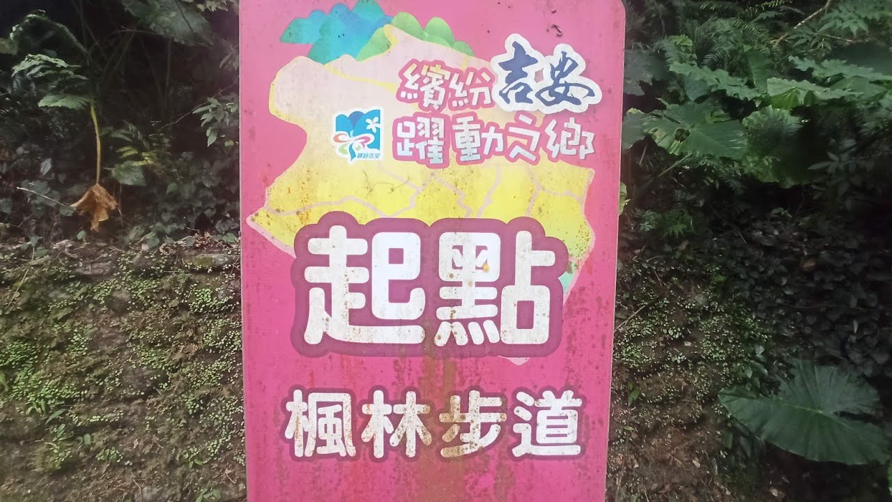 森呼吸步道👍 花蓮吉安鄉 楓林步道02.13