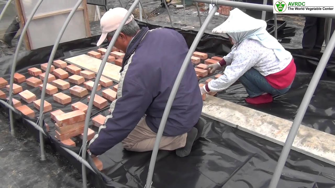 How to Build a Grafting Chamber 3 1