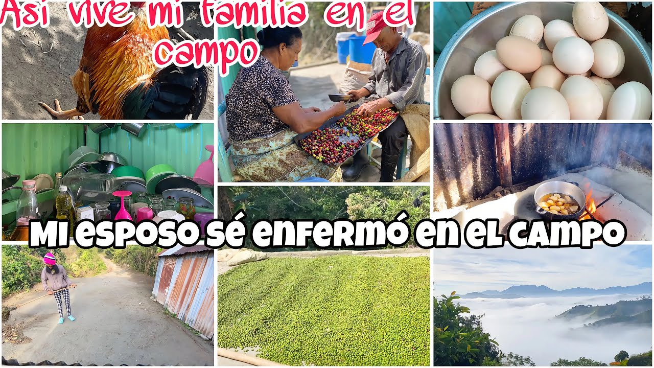 VIVEN DE la Agricultura 🧑‍🌾 MUcho Frío y Neblina 🌫️ VIVEN FELICES lejo del Ruido Todo lo que se come