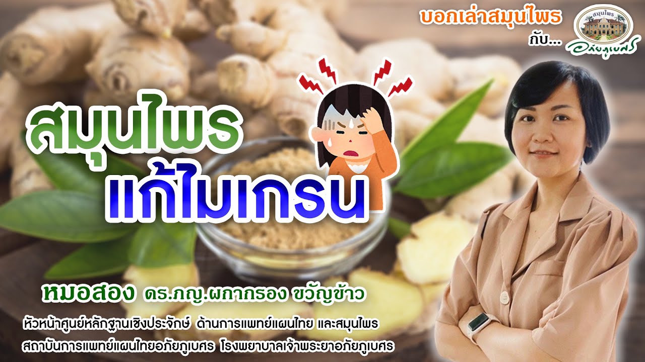 สมุนไพรแก้ 