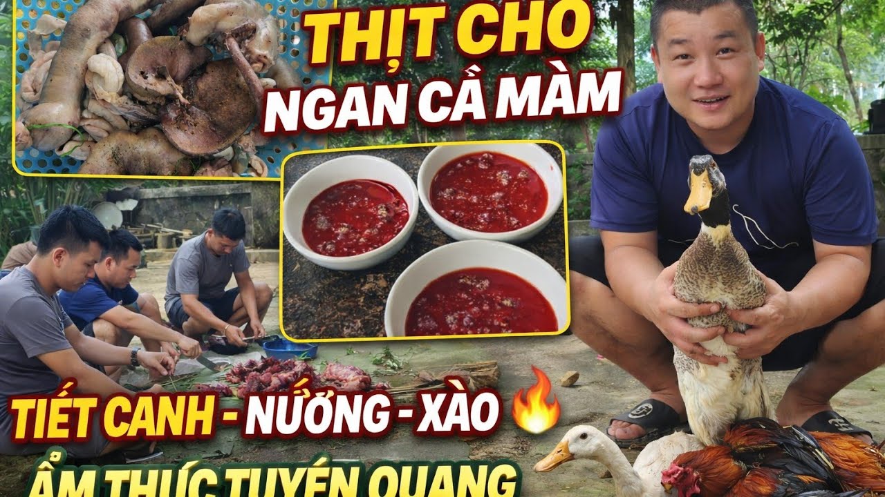 Bữa Nhậu Thịt Chó Và Ngan Đậm Chất Quê | Ẩm Thực Tuyên Quang.