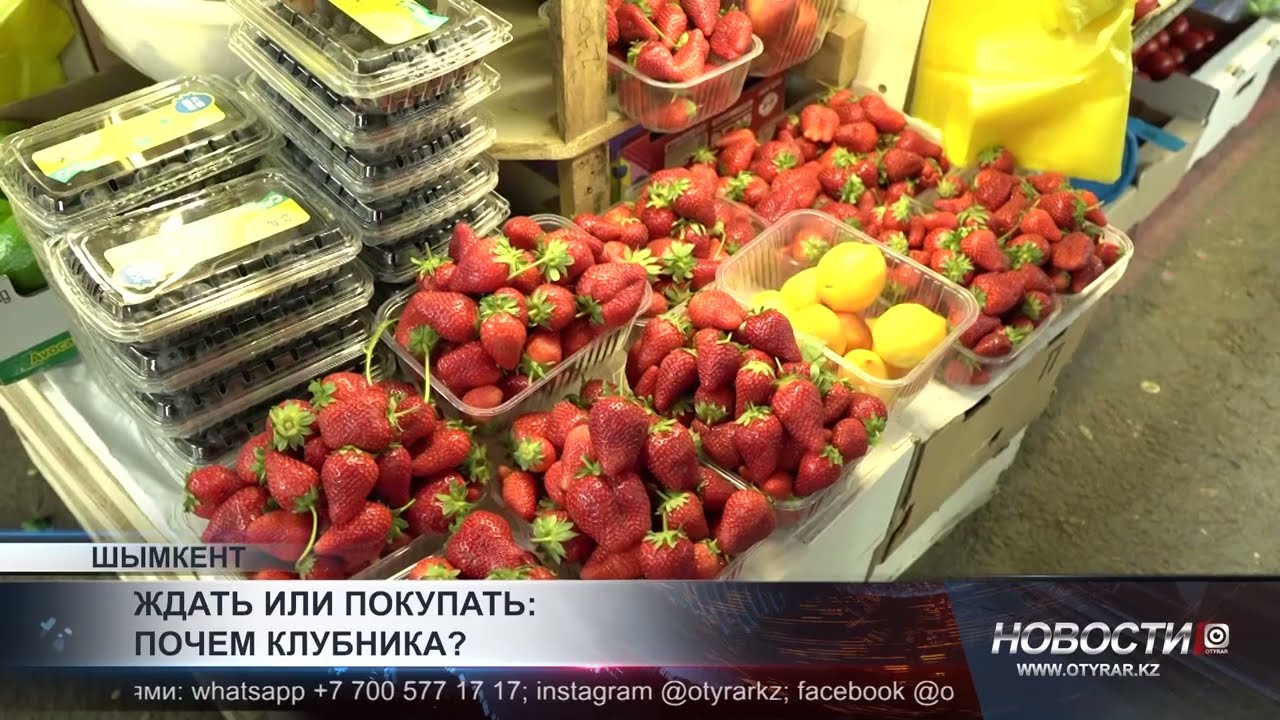 Ждать или покупать: почем клубника на базарах Шымкента?