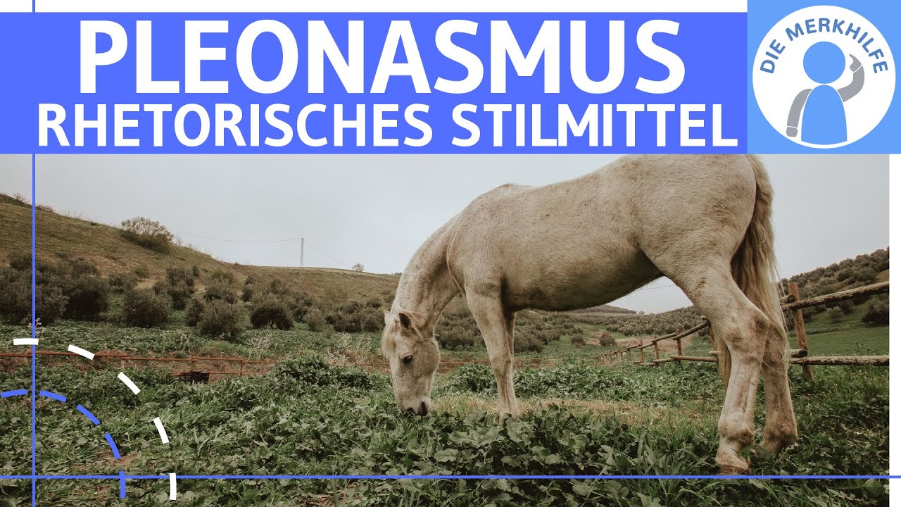 Pleonasmus - Was ist ein Pleonasmus? Erklärung, Wirkung & Beispiele - Rhetorisches Stilmittel