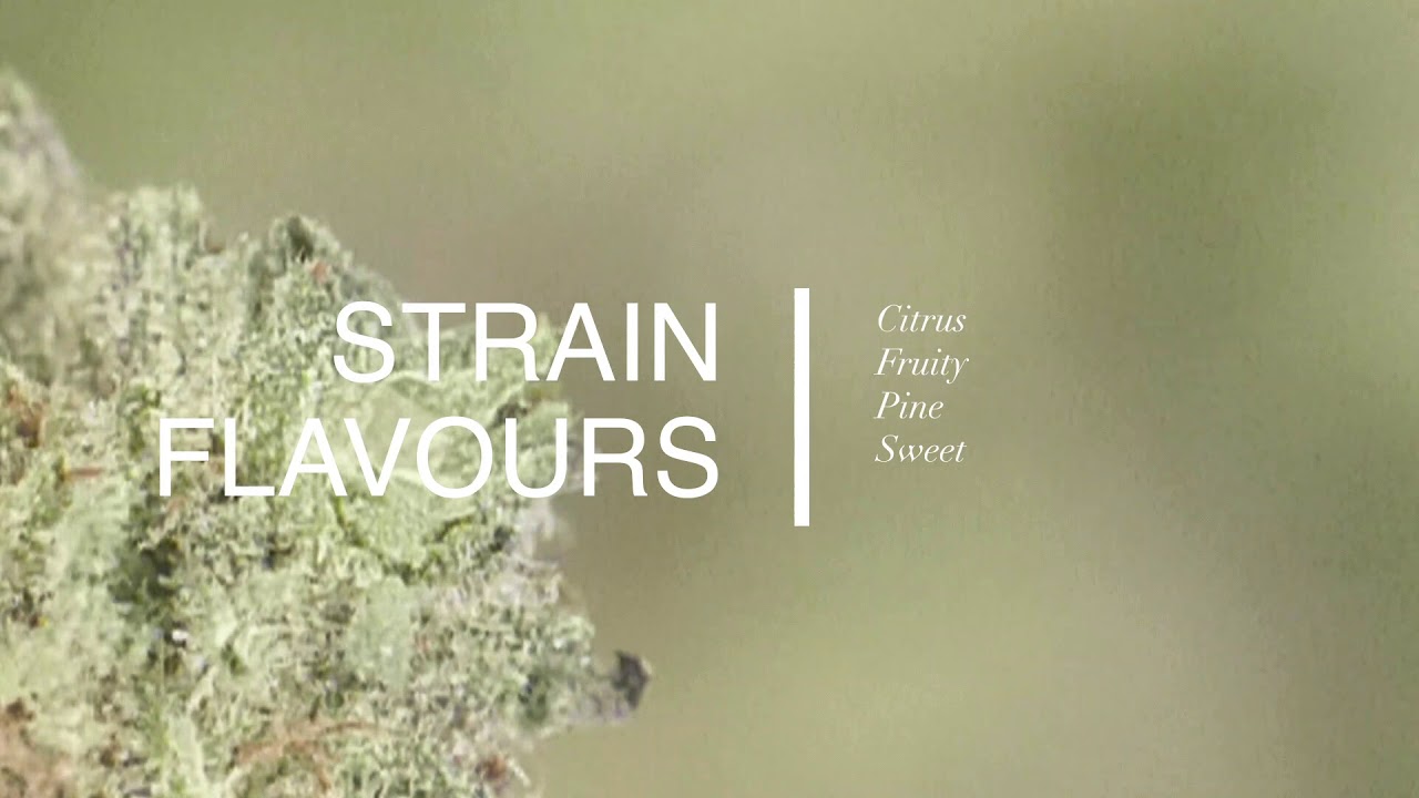 Green Crack Video Review