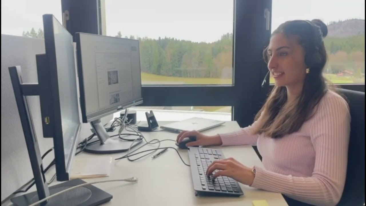 Erklärvideo DSIS Teil 2