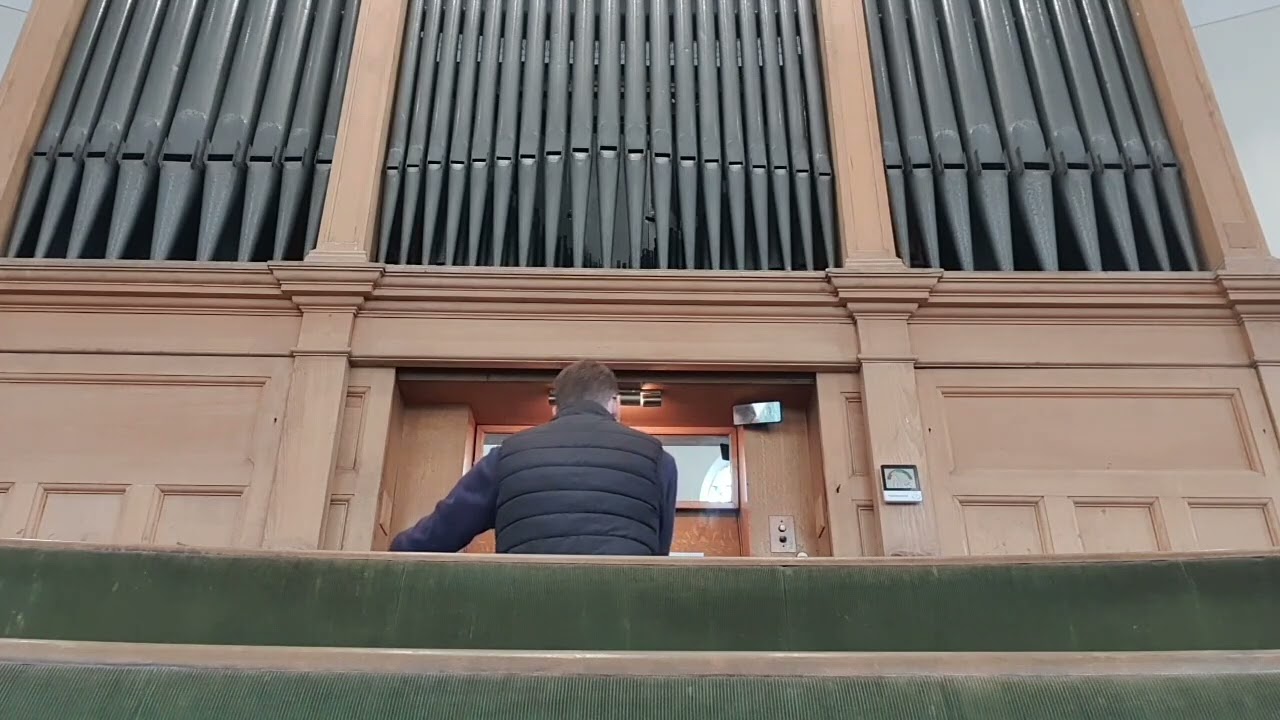 Domenico Bellando - Marche Pontificale