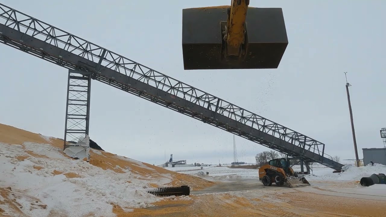 Сбор урожая кукурузы весом в два миллиона бушелей с помощью экскаватора